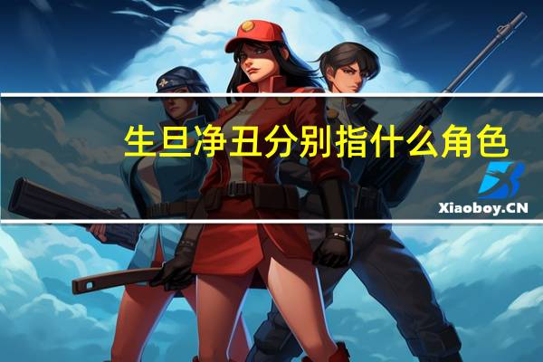 生旦净丑分别指什么角色