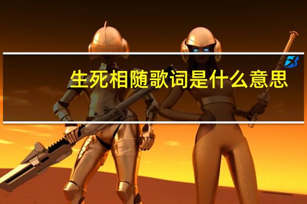 生死相随歌词是什么意思