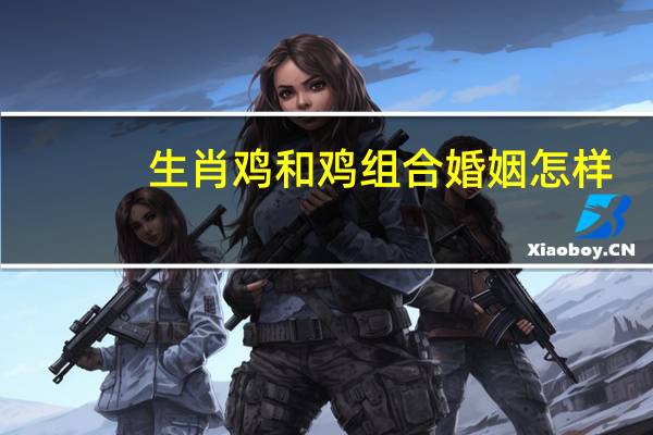 生肖鸡和鸡组合婚姻怎样