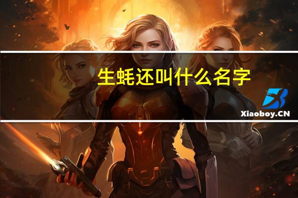 生蚝还叫什么名字