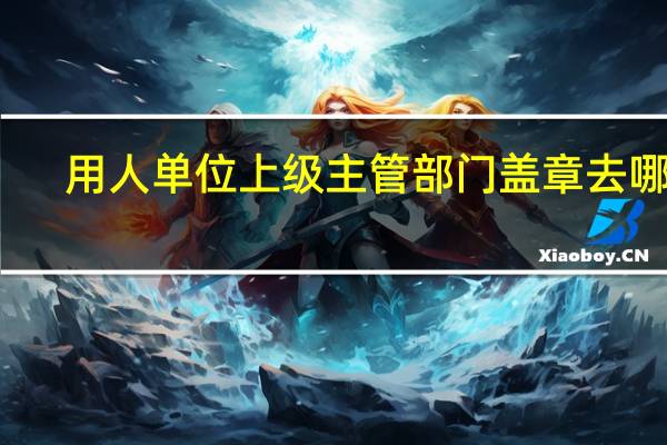 用人单位上级主管部门盖章去哪里