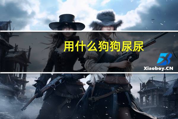 用什么狗狗尿尿