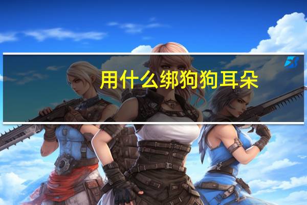 用什么绑狗狗耳朵