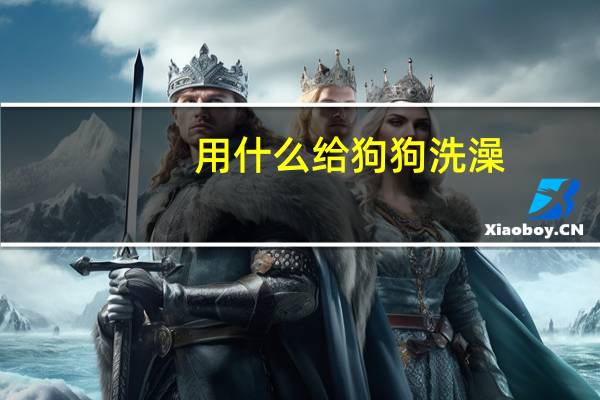 用什么给狗狗洗澡