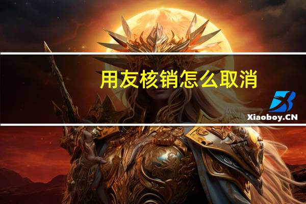 用友核销怎么取消
