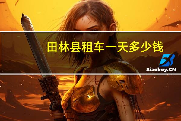田林县租车一天多少钱