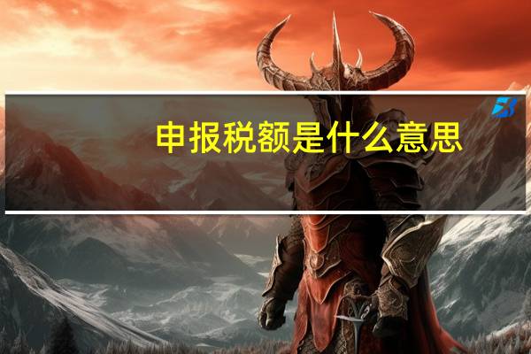 申报税额是什么意思