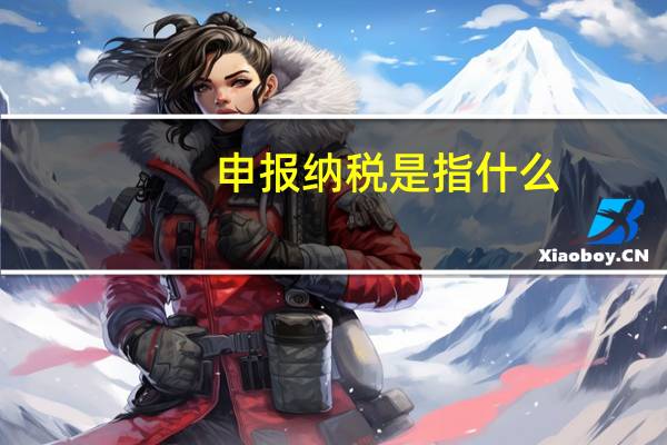 申报纳税是指什么
