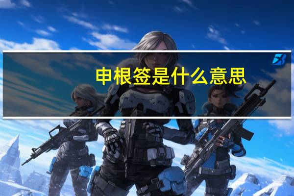 申根签是什么意思