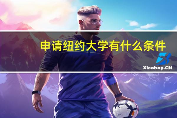 申请纽约大学有什么条件