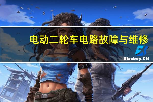 电动二轮车电路故障与维修