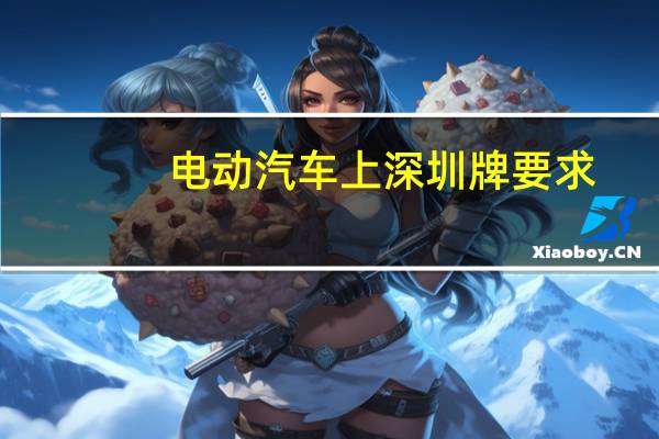 电动汽车上深圳牌要求