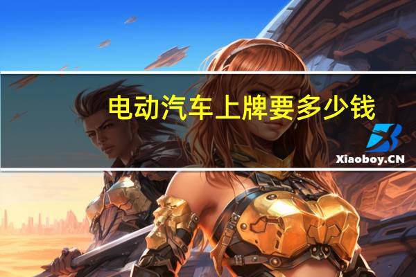 电动汽车上牌要多少钱