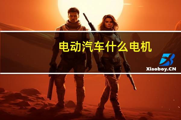 电动汽车什么电机