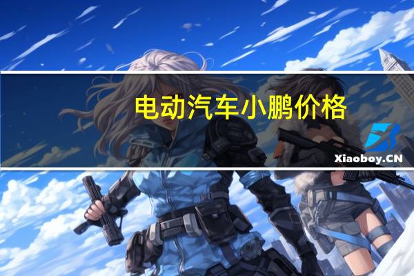 电动汽车小鹏价格