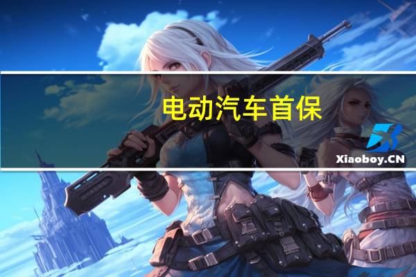 电动汽车首保