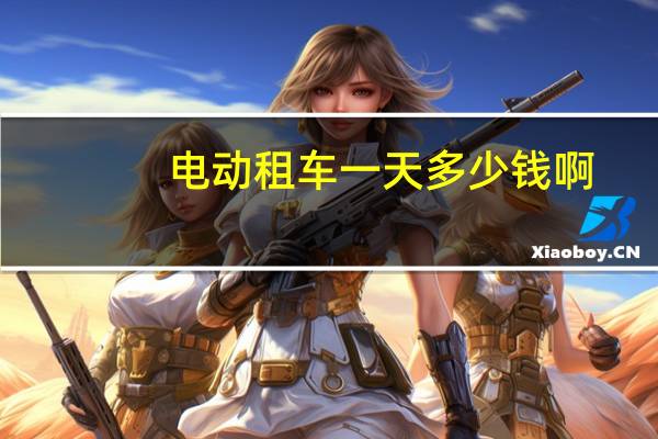 电动租车一天多少钱啊