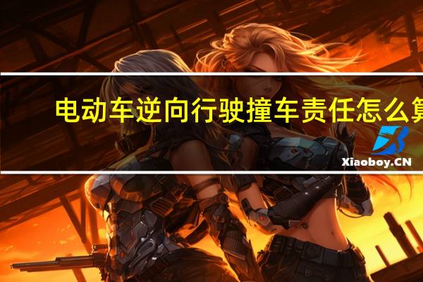 电动车逆向行驶撞车责任怎么算