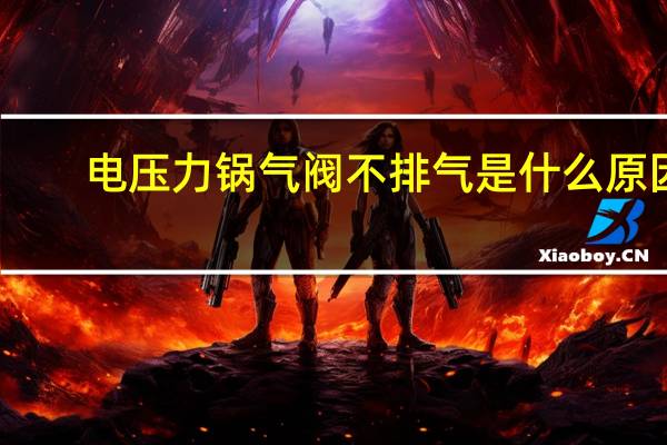 电压力锅气阀不排气是什么原因