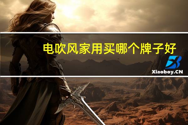 电吹风家用买哪个牌子好