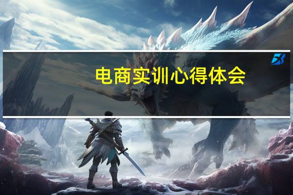 电商实训心得体会