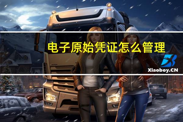 电子原始凭证怎么管理
