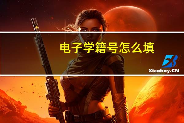 电子学籍号怎么填