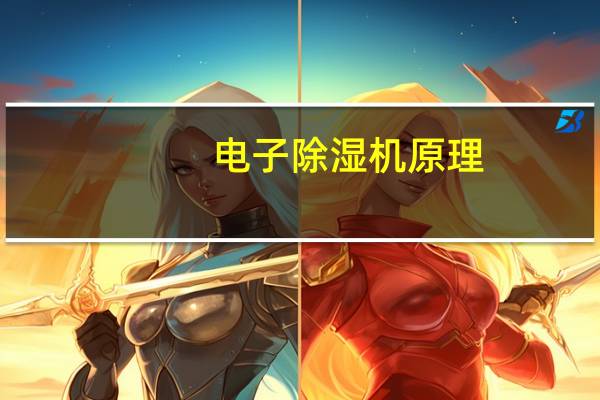 电子除湿机原理