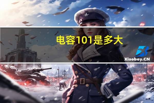 电容101是多大