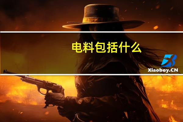 电料包括什么