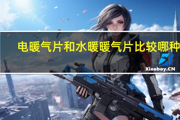 电暖气片和水暖暖气片比较哪种好