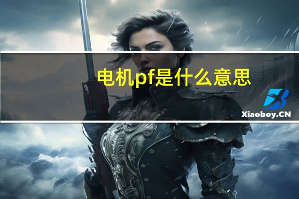 电机pf是什么意思