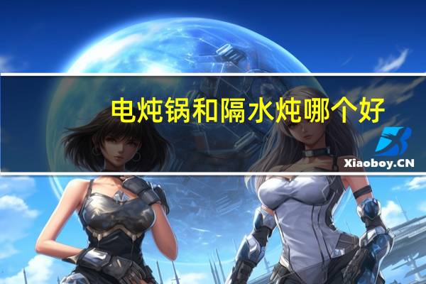 电炖锅和隔水炖哪个好