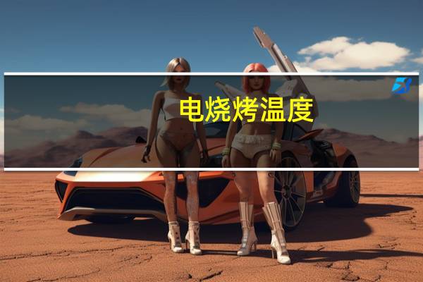电烧烤温度