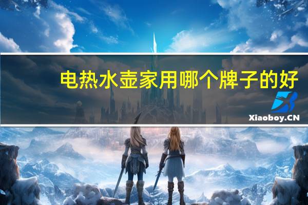 电热水壶家用哪个牌子的好