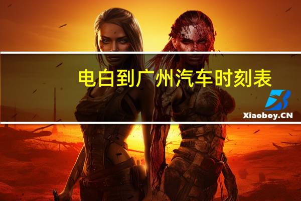 电白到广州汽车时刻表