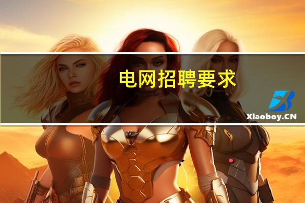 电网招聘要求