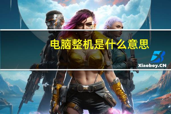 电脑整机是什么意思