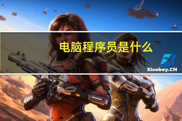 电脑程序员是什么