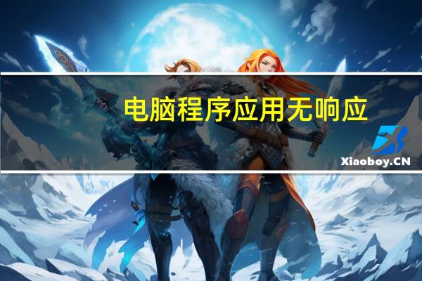 电脑程序应用无响应