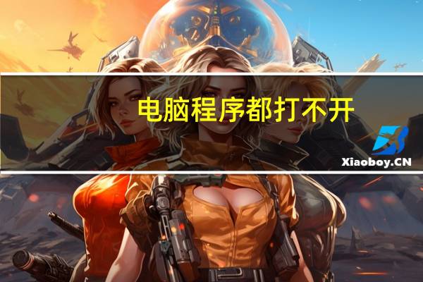 电脑程序都打不开