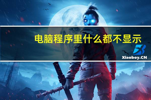 电脑程序里什么都不显示