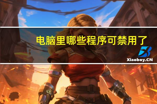 电脑里哪些程序可禁用了