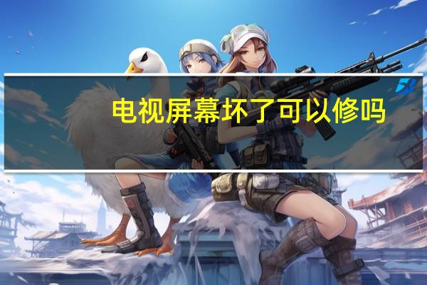 电视屏幕坏了可以修吗