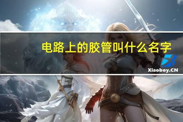 电路上的胶管叫什么名字