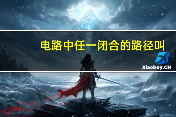 电路中任一闭合的路径叫