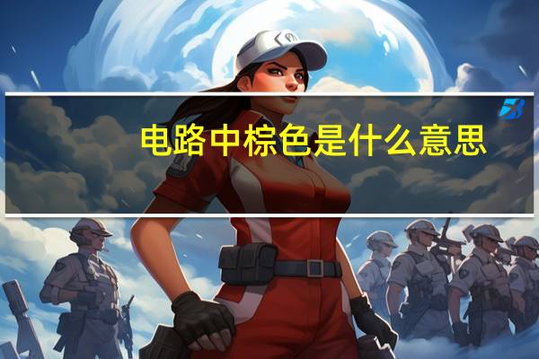 电路中棕色是什么意思