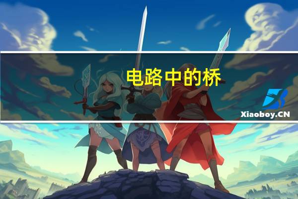 电路中的桥