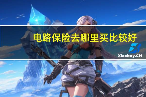 电路保险去哪里买比较好
