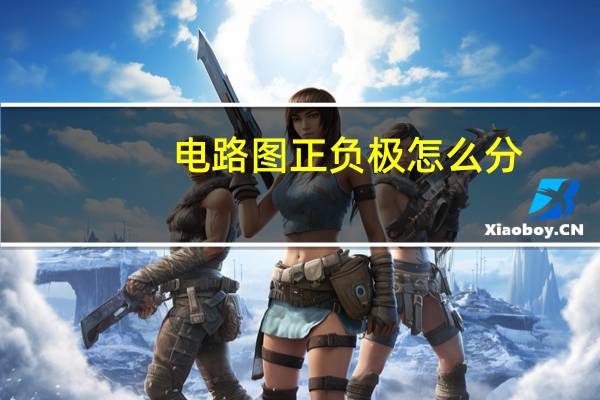 电路图正负极怎么分
